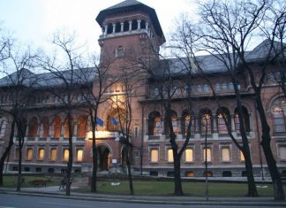 Scrisoare deschisa adresata Directorului MŢR