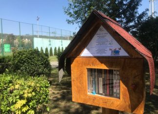 Bibliotecile se mută în parcuri