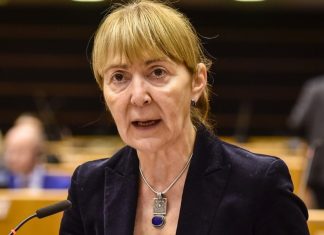Cum a facut Monica Macovei echipa cu un senator penal!? Fratia Duicu-Isaila