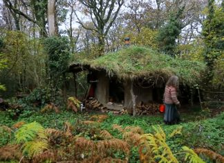 Cum sa traiesti in padure