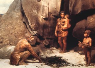 Cum sa aperi evolutionismul impotriva creationismului