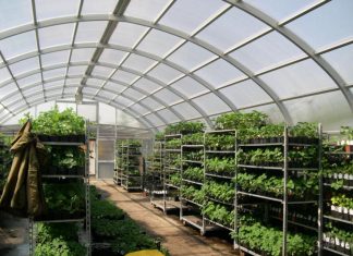 Cum se aranjeaza interiorul unei sere