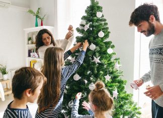 Brazi artificiali pentru un Craciun de vis