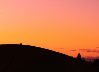 113 Citate Despre Viata Si Iubire – Maxime, Citate, Cugetari