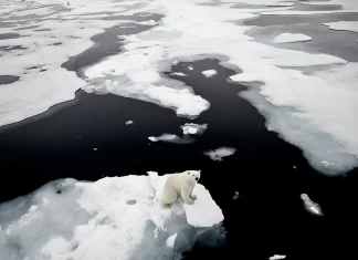 Ce ne spune Pamantul antic despre supravietuirea crizei climatice