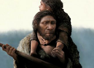 Cine erau oamenii Neanderthal si de ce au disparut?