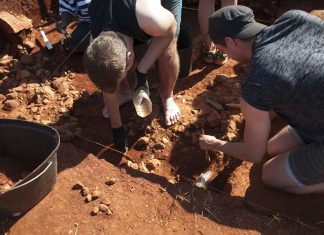 Oamenii timpurii au trait in zonele inalte ale Etiopiei acum 2 milioane de ani