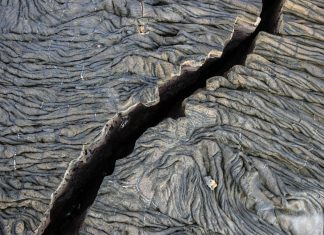 Cate placi tectonice are Pamantul?