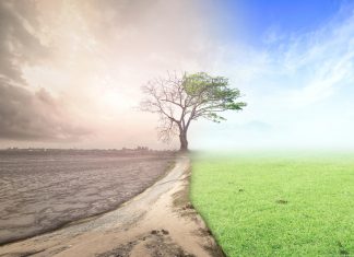 10 fapte care dovedesc ca lumea se afla intr-o urgenta climatica