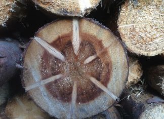 Avantajele financiare ale achizitionarii de piese de drujba Husqvarna compatibile!