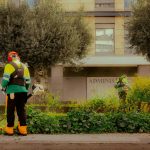 Bujie motocoasă standard vs iridium: ce alegi pentru o durată mai mare de viață