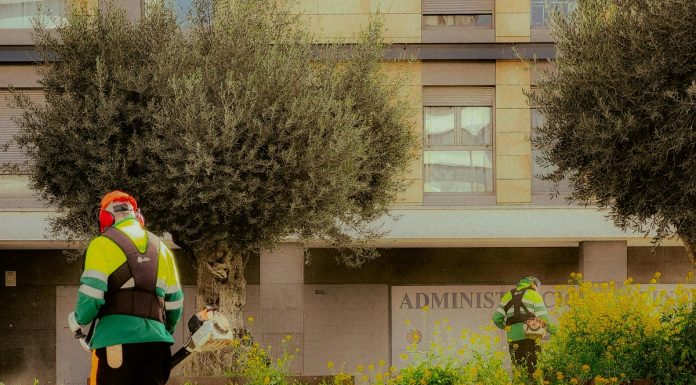 Bujie motocoasă standard vs iridium: ce alegi pentru o durată mai mare de viață